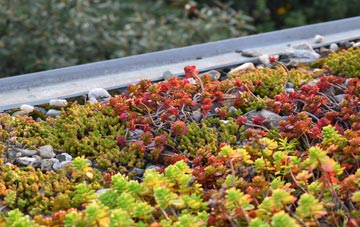 the cost of Totley Brook green roof installation