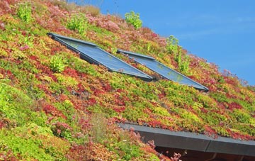 Totley Brook living roof systems